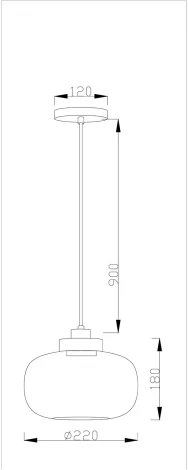Подвесной светильник V2070-P Clear 1*E27*60W