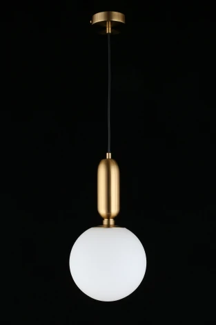 Подвесной светильник Aniela APL.612.26.01 (220V, на проводе, шар)