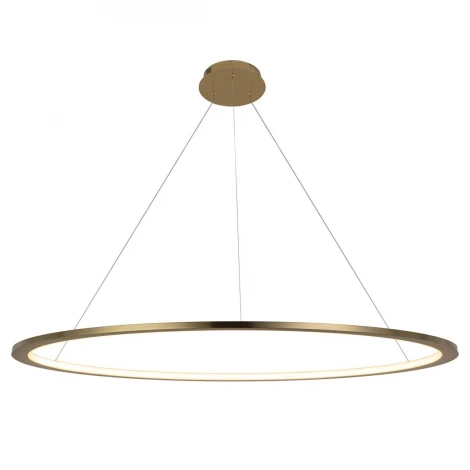 Подвесной светильник Loft IT Ring 10014XXL (LED, 220V, на тросе, кольцо)