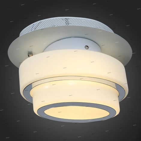 Настенно-потолочный светильник ST Luce Ovale SL546.501.01