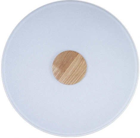 Потолочный светильник круглый Loft IT Axel 10003/24 White (LED, 220V, круглые)