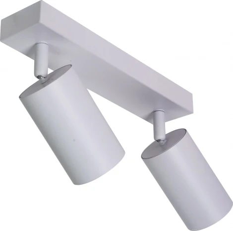 Потолочный светильник спот Brizzi Aras BR08083