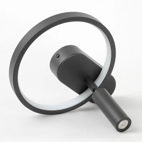 Настенный светильник со спотом Lussole Clay LSP-7238 (LED, 220V)