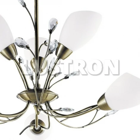 Подвесная люстра Arte Lamp Gardenia A2766LM-6AB