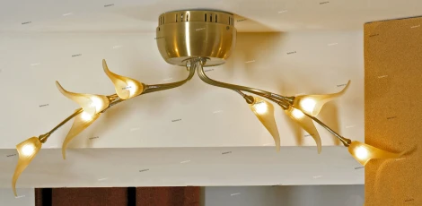 Потолочный светильник Lussole Roncobello LSA-0463-08