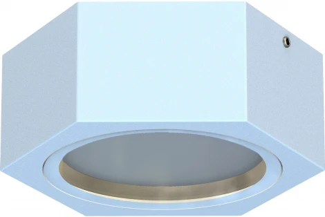 Потолочный светильник уличный Favourite Fantum 4665-1U (220V, круглые, IP54)