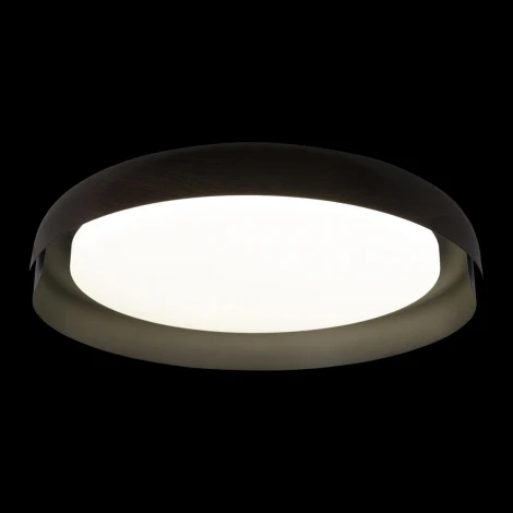 Потолочный светильник круглый Coin 10198 Black Loft It (LED, 220V, круглые)