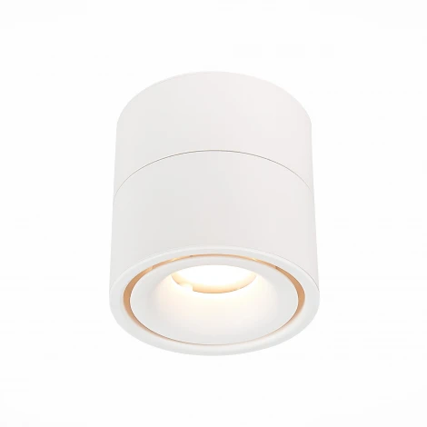 Накладной точечный светильник ST Luce St652 ST652.532.12 (LED, 220V, круглые)