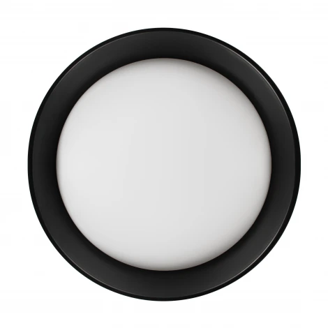 Потолочный светильник светодиодные Loft It Coin 10202 BB