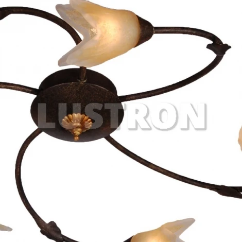 Потолочная люстра Arte Lamp Joy A1050PL-5BR