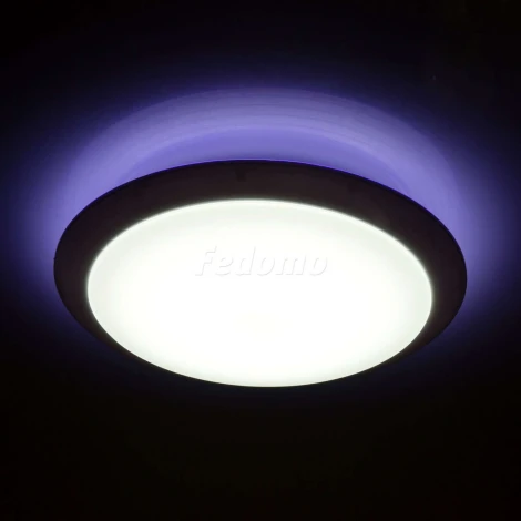 Потолочный светильник MW-Light Ривз 674014301