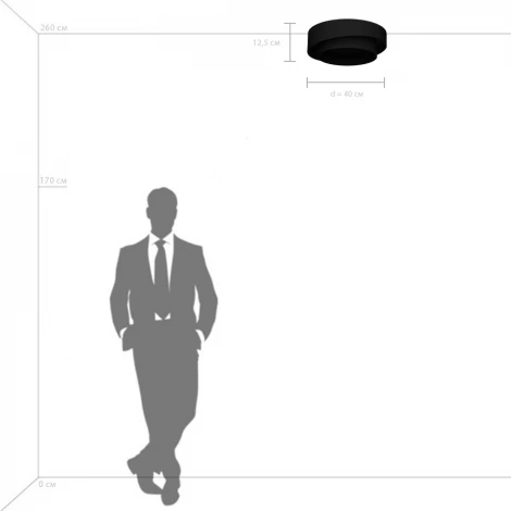 Потолочный светильник круглый светодиодный Lightstar Celesta 809416 (220V, круглые)