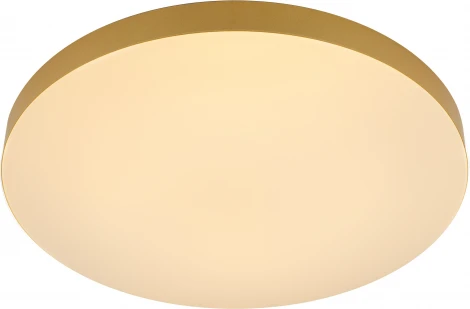 Потолочный светильник круглый светодиодный с пультом и регулировкой цветовой температуры ЭРА Relict 48 Pult SPB-6-60-RC MG (220V, круглые)