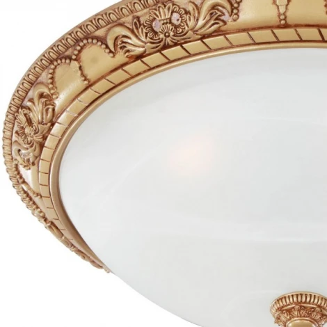 Потолочный светильник Favourite Plafond 1447-4C