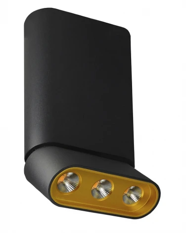 Спот Lumien Hall Фергус 8005/3CM-BK-GD