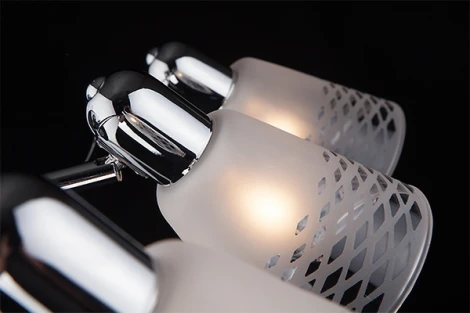 Спот Eurosvet Organic 20053/3 хром