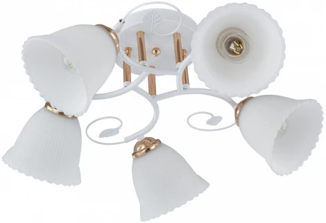 Потолочная люстра на штанге Arte Milano AMALFI-325395 325395/5A WH+FG (220V)