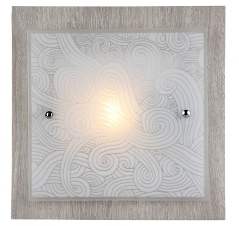 Настенно-потолочный светильник Freya Constanta FR4813-CL-01-W