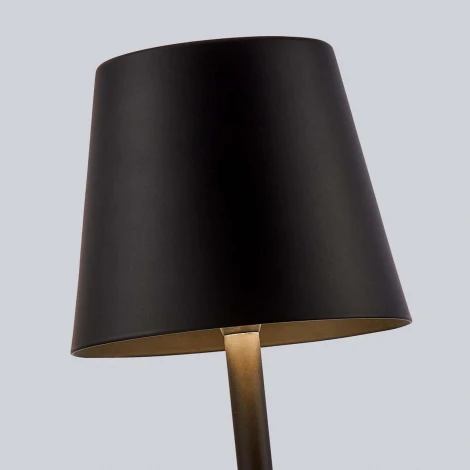 Настольная лампа с аккумулятором F-Promo Pyari 4615-1T (LED, 220V)