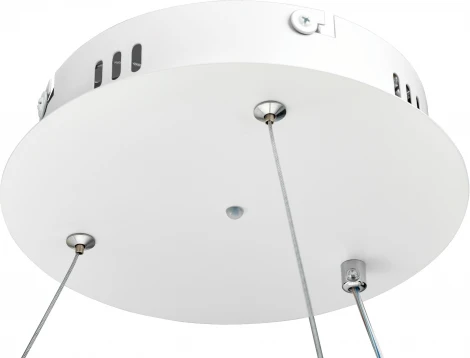 Подвесной светильник светодиодный с ДУ Ritter Lucido 52934 1