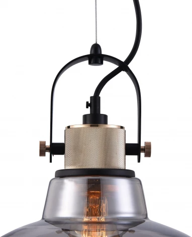 Подвесной светильник Maytoni Irving T163PL-01C