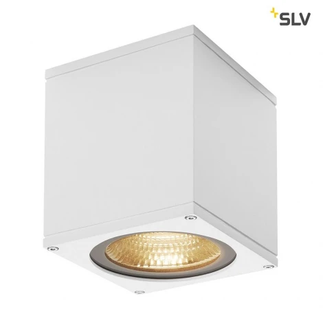 Потолочный светильник уличный Slv Big Theo 234531