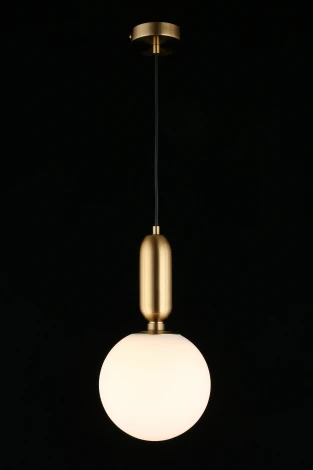 Подвесной светильник Aniela APL.612.26.01 (220V, на проводе, шар)