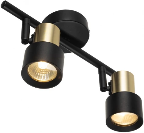 Спот поворотный с включателем Citilux Sat CL505621 (220V, выключатель)