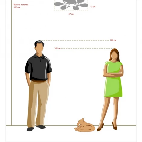 Потолочная люстра MW-Light Фиеста 267011806