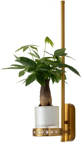 Бра Favourite Greenery 4050-1W