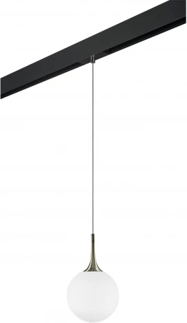 Трековый светильник однофазный 220V Lightstar Globo PRO813021 (шар)