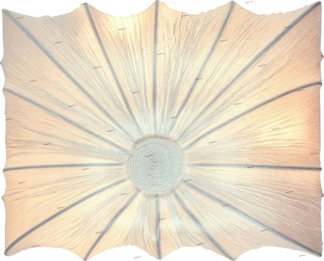 Настенный светильник ST Luce Tela SL356.551.03