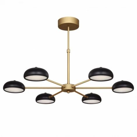 Потолочная люстра F-Promo Salvator 2501-6P