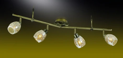Спот Odeon Light Glosse 2166/4W