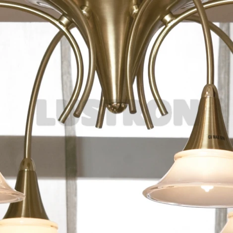 Потолочная люстра Lussole Marche LSC-2407-06