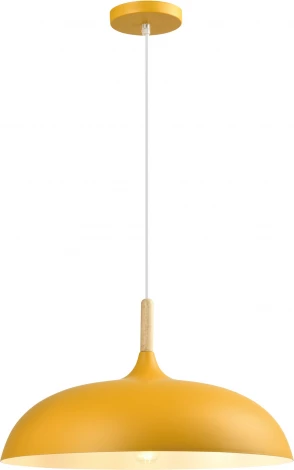 Подвесной светильник Moderli Hygo V11450-1P