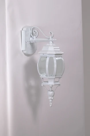 Настенный фонарь уличный Oasis Light America S W 83402S