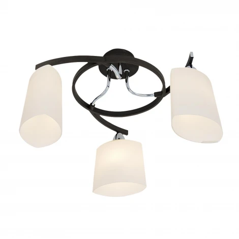 Потолочная люстра Citilux Taifun CL136131