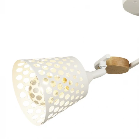 Потолочная люстра Wedo Light Odetta 66583.01.09.02