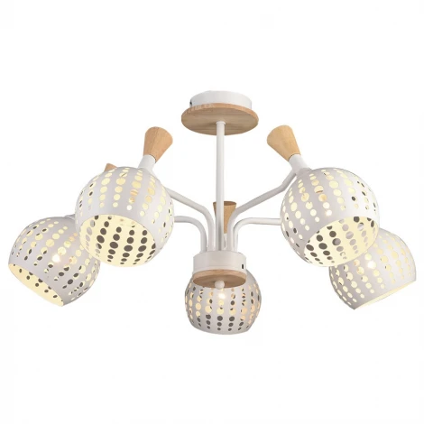 Потолочная люстра Wedo Light Florinda 66167.01.09.05