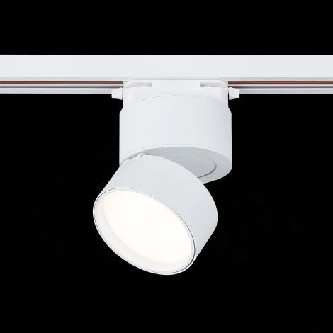 Трековый светильник ST Luce St651 ST651.546.09 (LED, 220V, круглые)