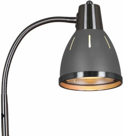 Торшер Reluce 03049-0.6-01B GY (220V)