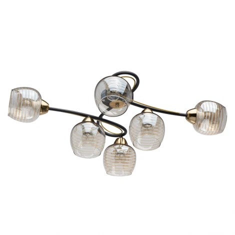 Потолочная люстра MW-Light Альфа 324015006