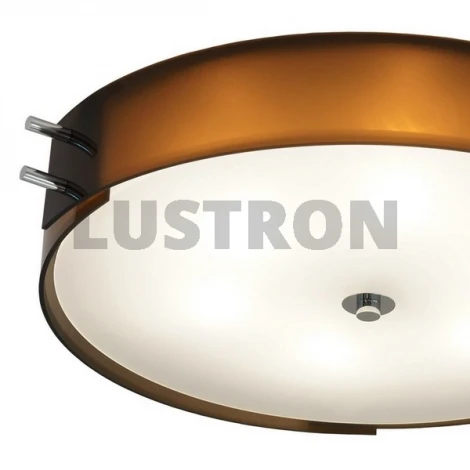 Потолочный светильник ST Luce SL484 SL484.702.06
