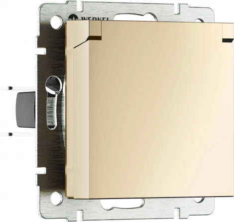 Розетка с заземлением с защит. крышкой и шторками (шампань) Werkel W1171211 (a069581)