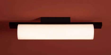 Потолочный светильник Freya Even FR5625CL-L20B