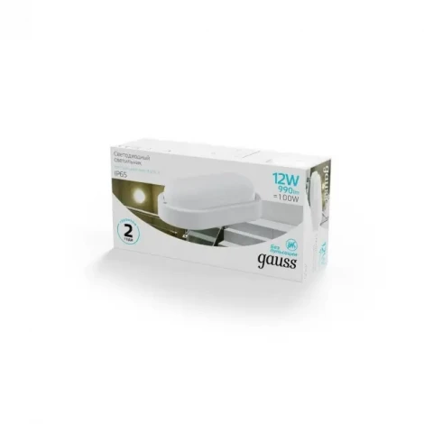 Настенно-потолочный светильник Gauss 161411212