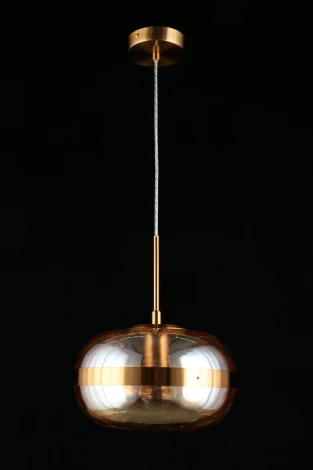 Подвесной светильник Aployt Gabriela APL.305.16.01 (220V, на проводе, шар)
