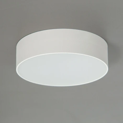 Накладной точечный светильник Citilux Тао CL712120N (регулировка яркости, LED, 220V, круглые)