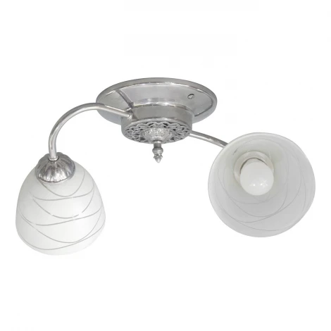 Люстра потолочная Day&Night, 2 плафона, хром с белым